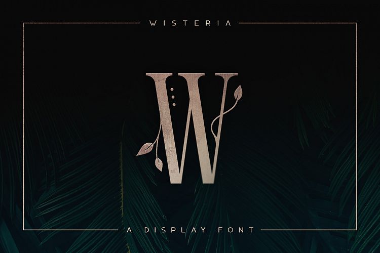 Wisteria - Display Font