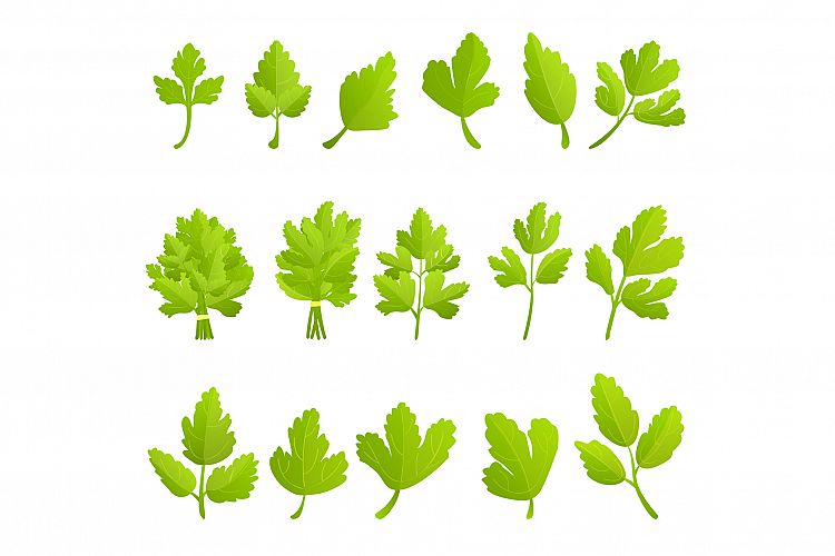 Parsley icons set, cartoon style