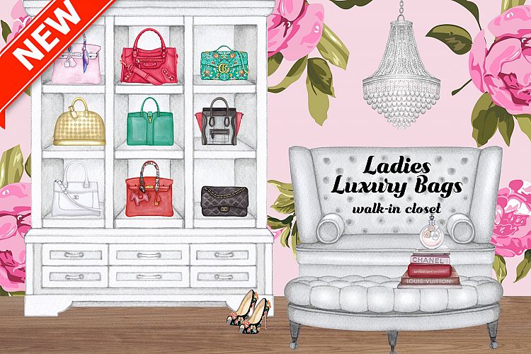 Ladies Luxury Bags walk-in closet