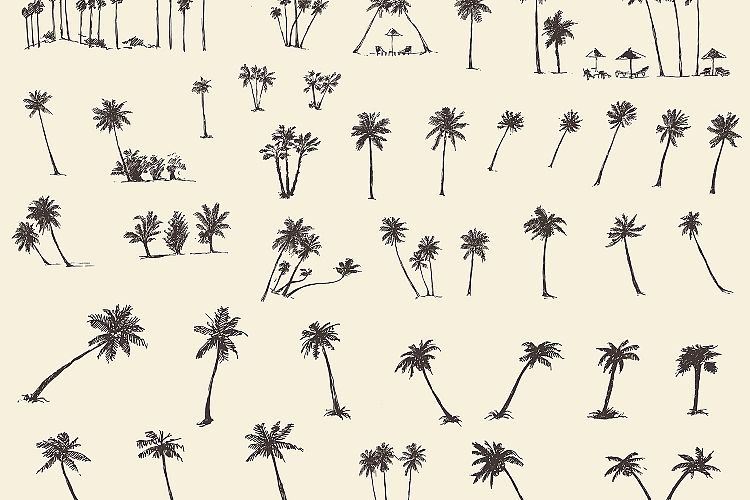 Silhouette of palm trees