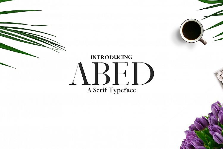 Abed Serif 5 Font Family Pack