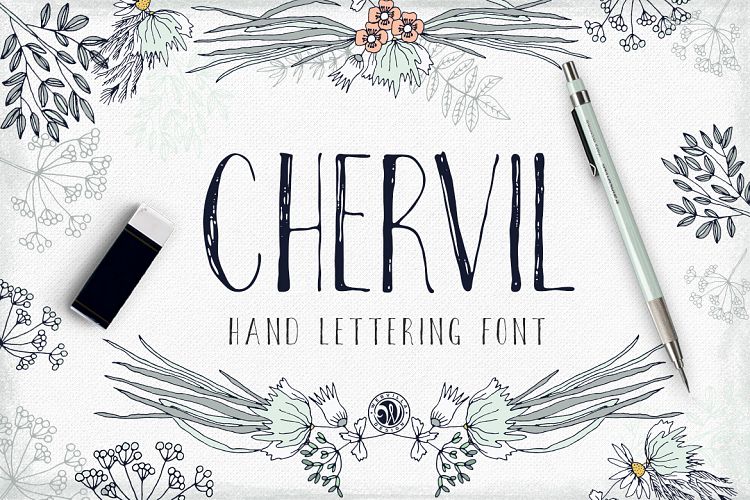 Chervil