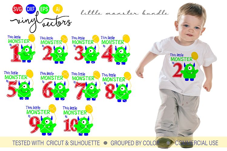 Little Birthday Monster Bundle SVG DXF Cut Ready Files