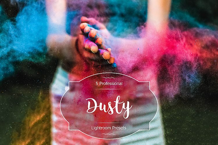 Dusty Lr Presets