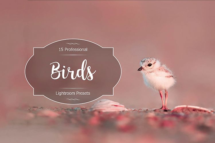 Birds Lr Presets