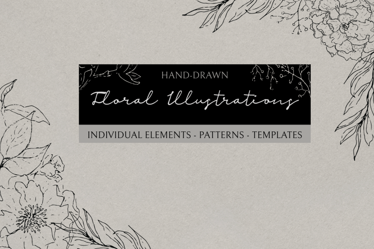 Floral Illustrations, Sketchy Hand Drawn Botanical Illustrations