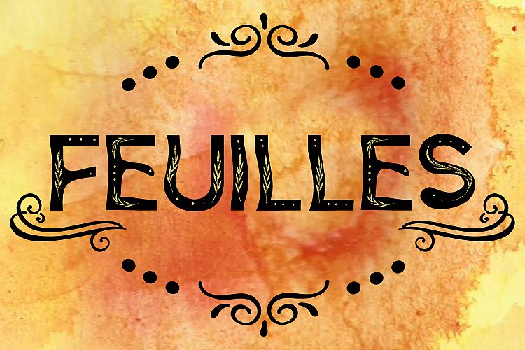 Feuilles Font