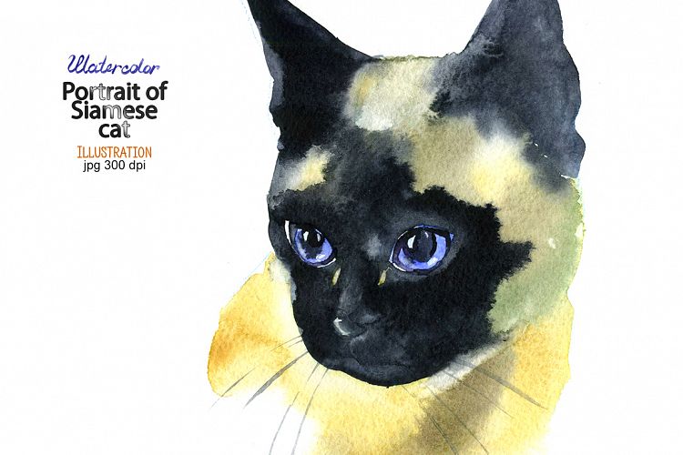 Watercolor Siamese cat