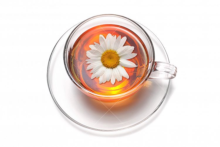 Tea cup with Chamomile flower