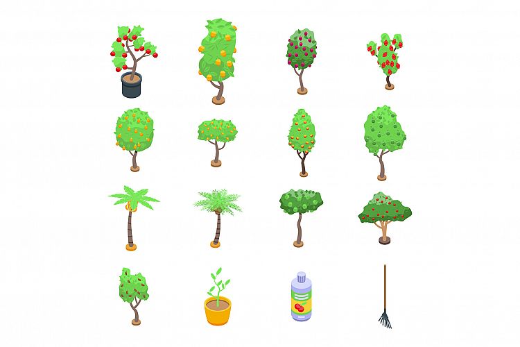 Fruit tree icons set, isometric style
