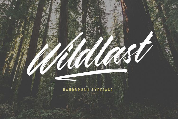 Wildlast Handbrush Typeface