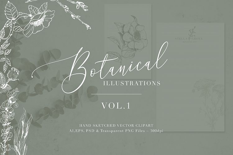 Botanical Illustrations Vol.1