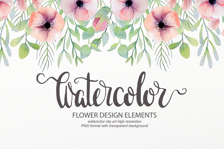 Watercolor floral design elements