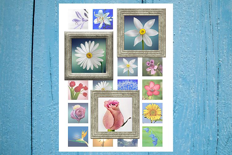 Flowers Printable, Floral Digital, Elegant, Minimalist