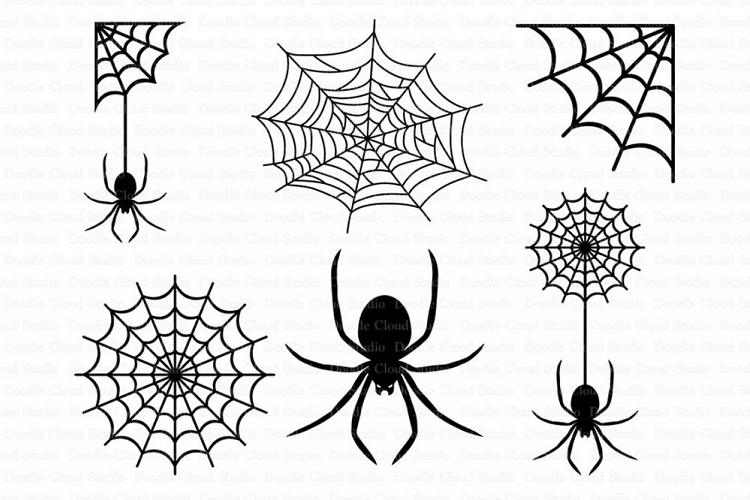 Spiders and Spider Web SVG files for Silhouette Cameo and Cricut. Clipart PNG Transparent included.