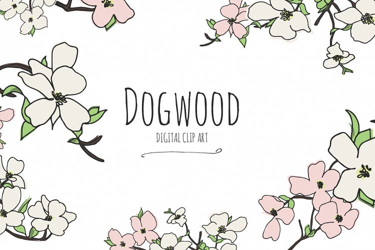 Dogwood - Digital Clip Art