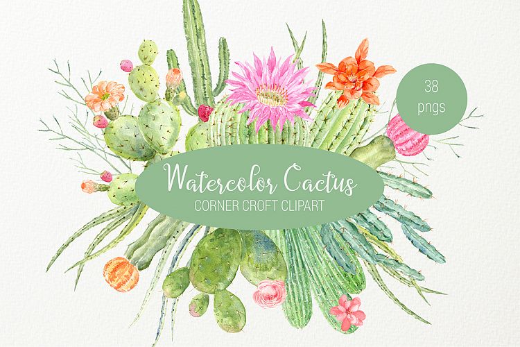 Watercolor clipart cactus for instant download 