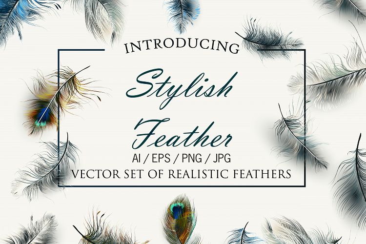  Vector realistic feathers set