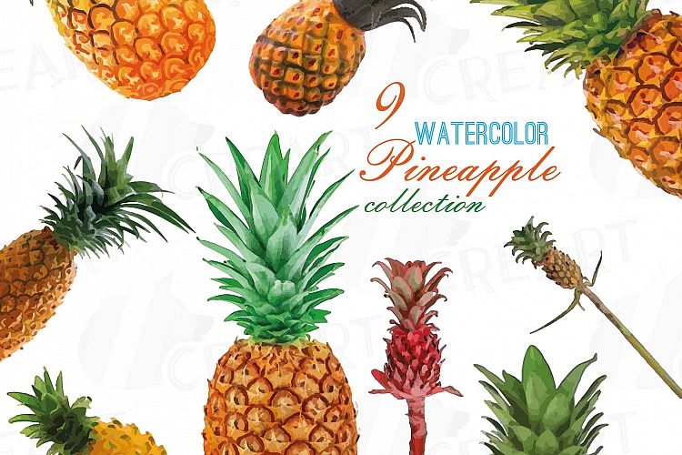 Watercolor Pineapple clip art pack, watercolor ananas clip art exotic fruit, Printable png, pdf, jpg, svg, eps and vector files included.