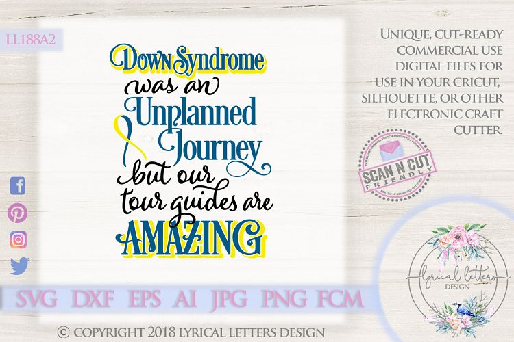 Down Syndrome Was An Unplanned Journey Twins SVG DXF LL188A2