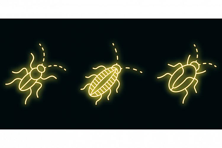 Cockroach icons set vector neon example image 1