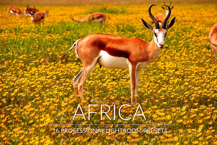 Africa Lr Presets