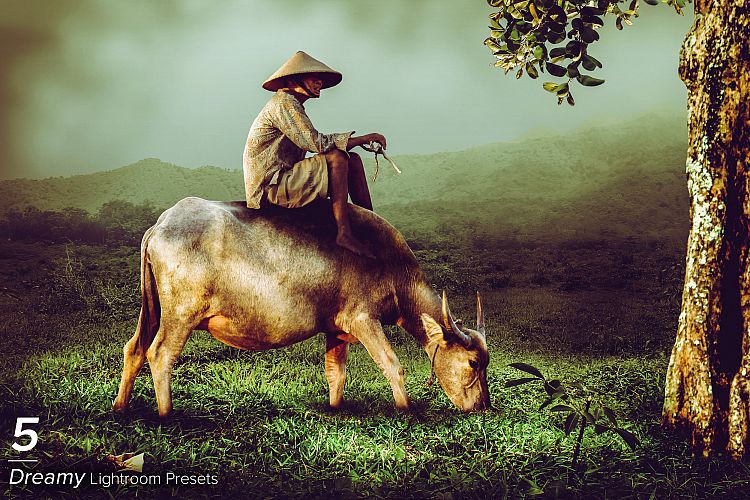 5 Dreamy Lightroom Presets