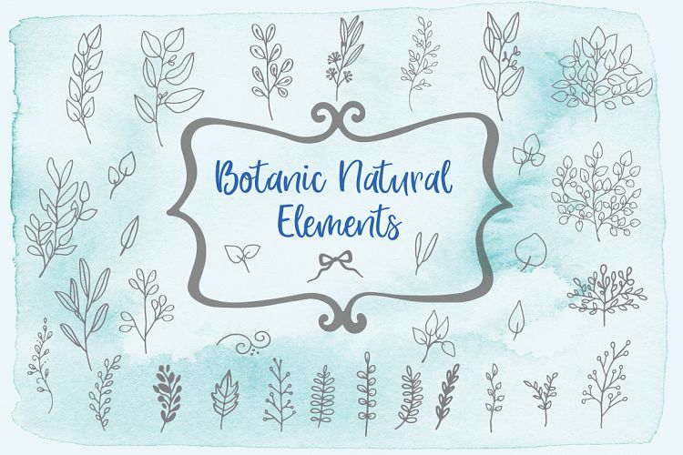 Botanic Natural Elements