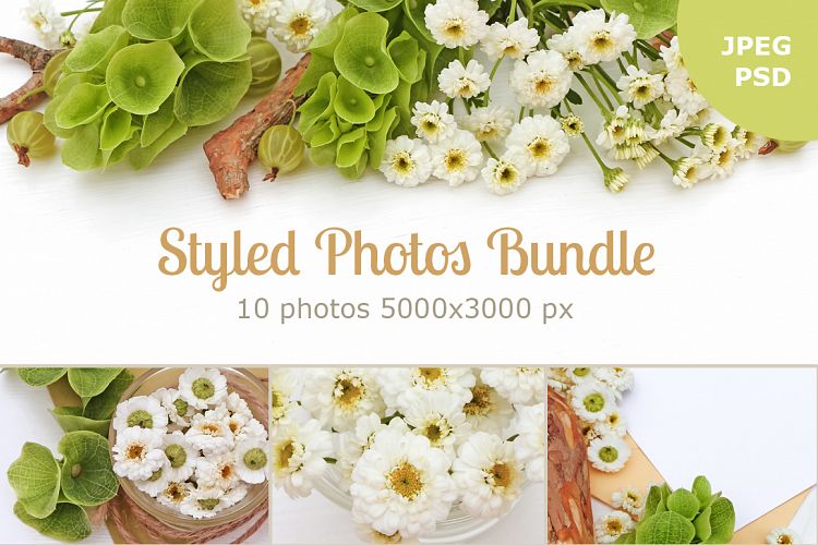 Styled Photos Bundle with Molucella
