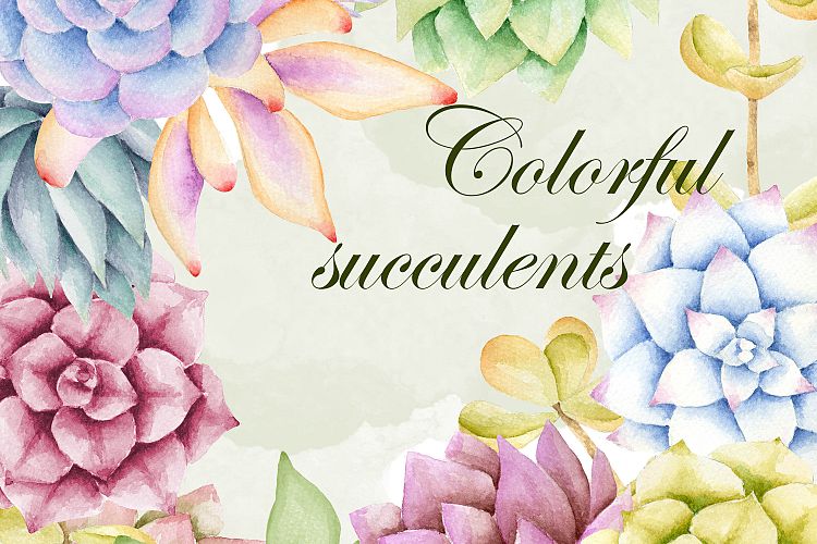 Watercolor succulent clipart