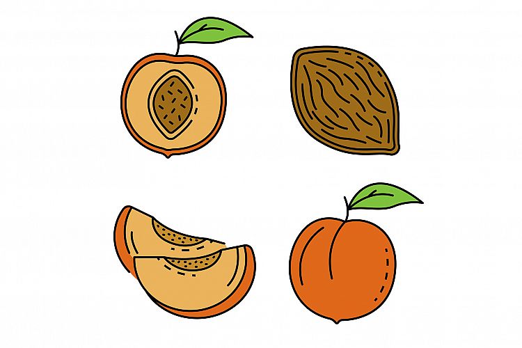 Peach icons set line color vector example image 1