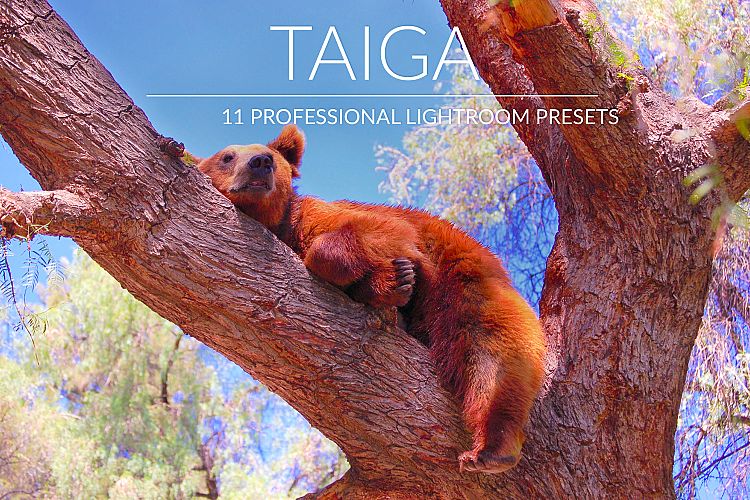 Taiga Lr Presets