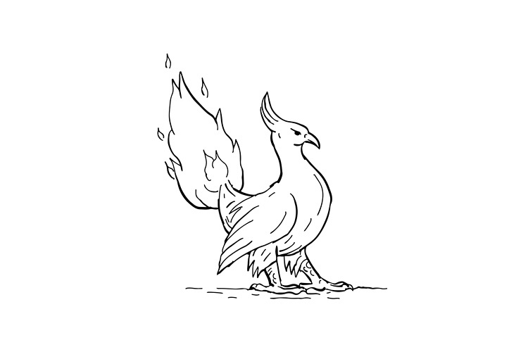 Phoenix Burning Tail Drawing