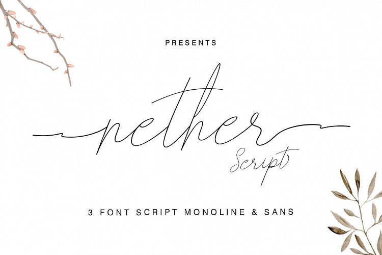 Nether Font Trio Script   Sans