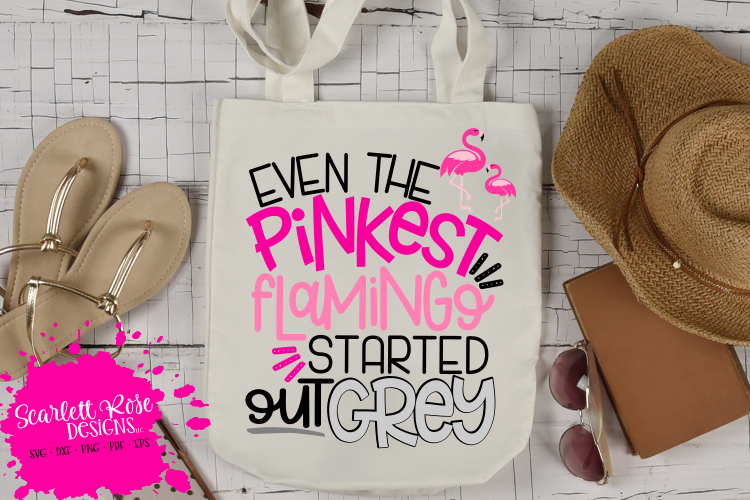 Even the Pinkest Flamingo Started out Grey SVG