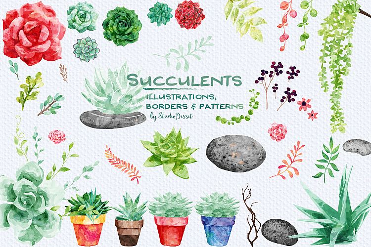 Succulents Watercolor Illustrations, Patterns & Frames