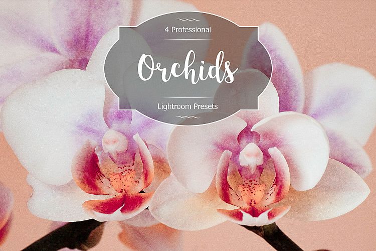Orchids Lr Presets