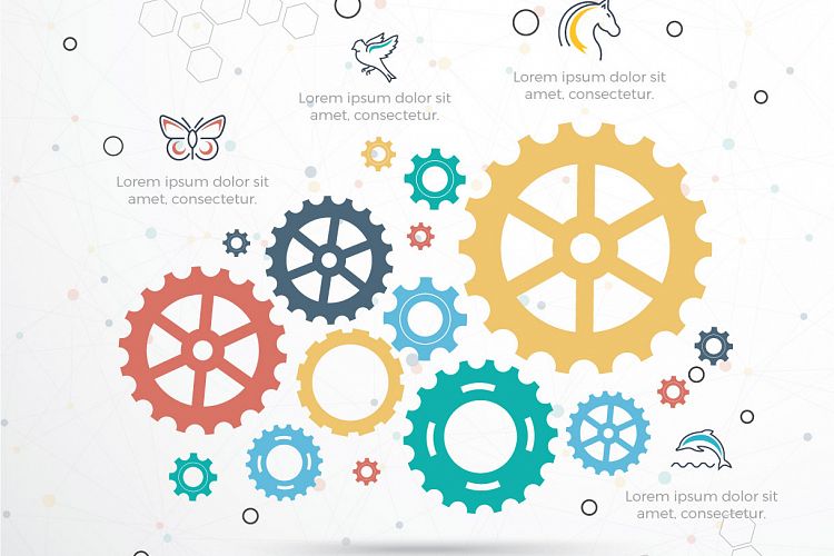 Gear Infographic vector design.