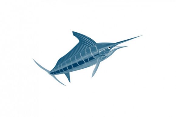 Sailfish Fish Coming Up Retro example image 1