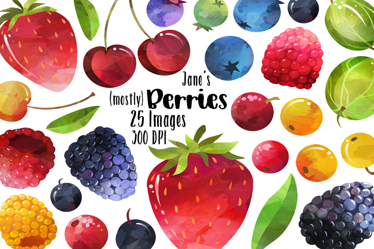 Watercolor Berries Clipart
