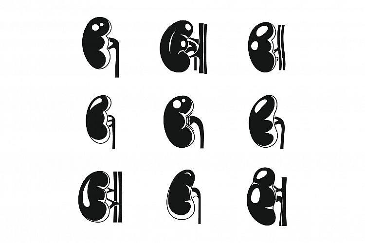 Human kidney icons set, simple style example image 1