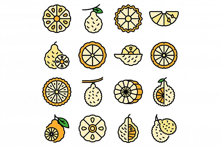 Bergamot icons set vector flat example image 1