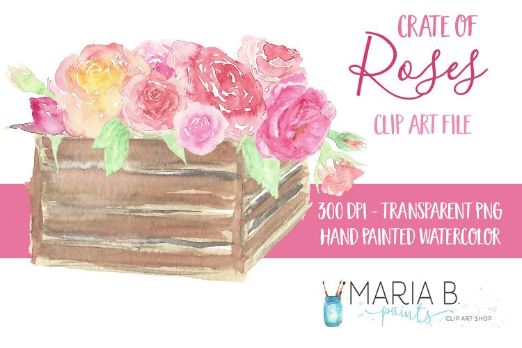 Crate of Roses Watercolor Clip Art PNG