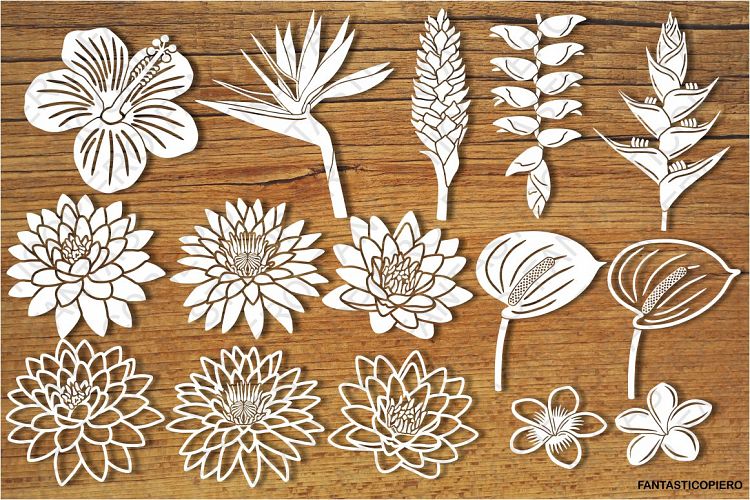 Tropical Flowers SVG files