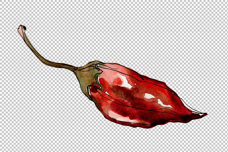 Red pepper vegetables PNG watercolor set