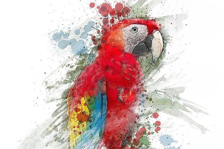 Watercolor effect-05