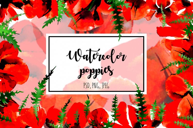 Poppy flowers watercolor set.
