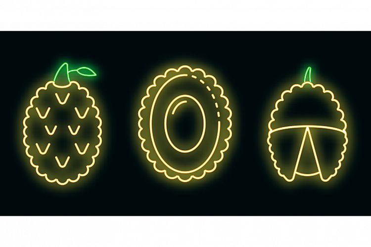 Lychees icons set vector neon example image 1