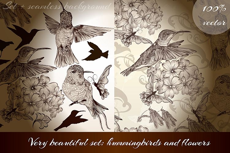 Beautiful humingbird vector clip art and vintage pattern