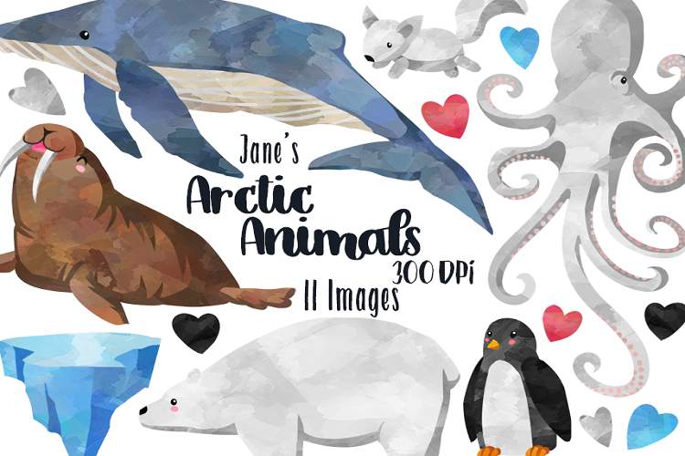 Watercolor Arctic Animals Clipart